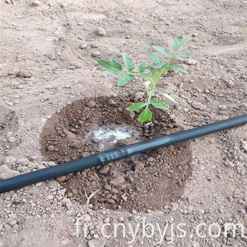 Drip Irrigation Pipe 6